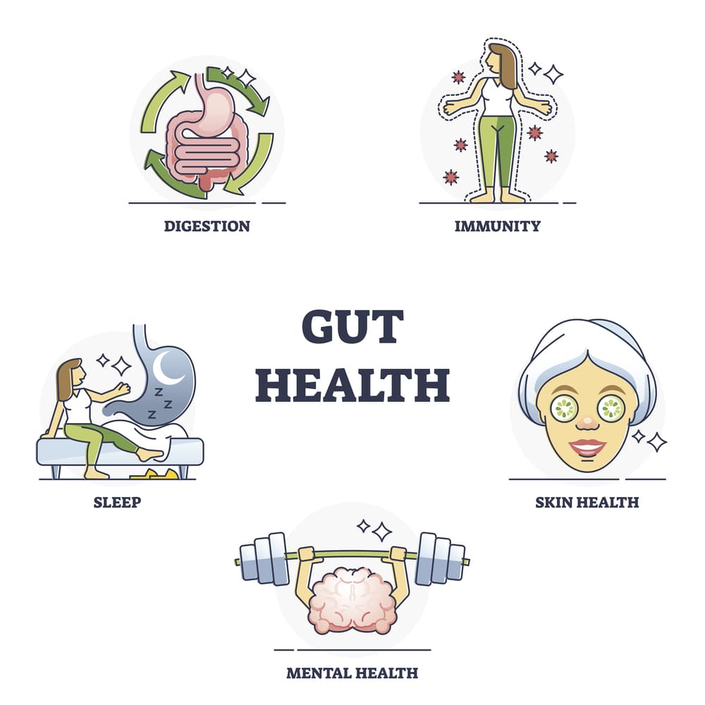 Gut health